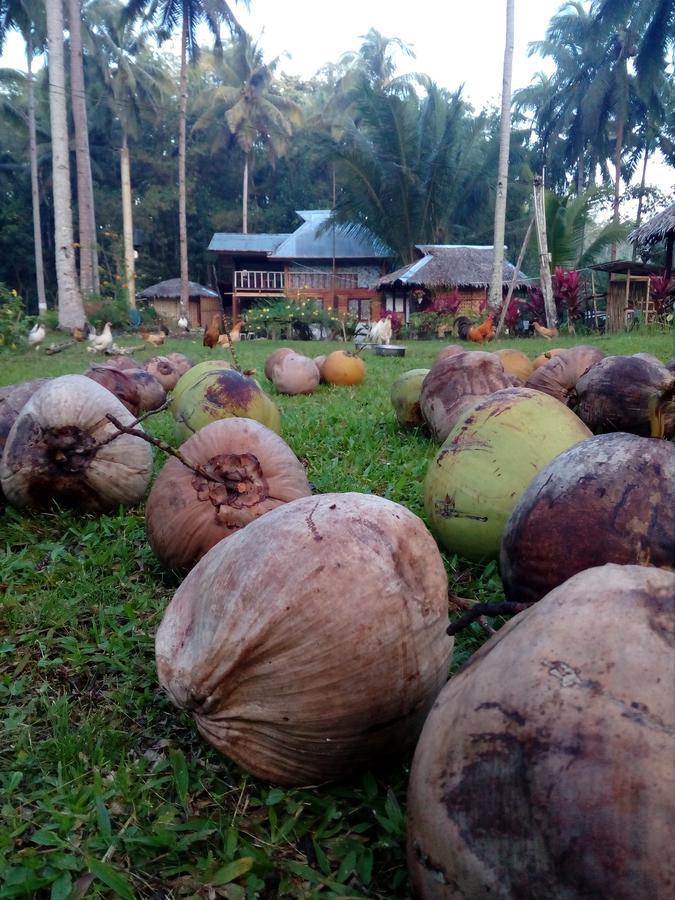 Batuan Hammock Hostel Eksteriør billede